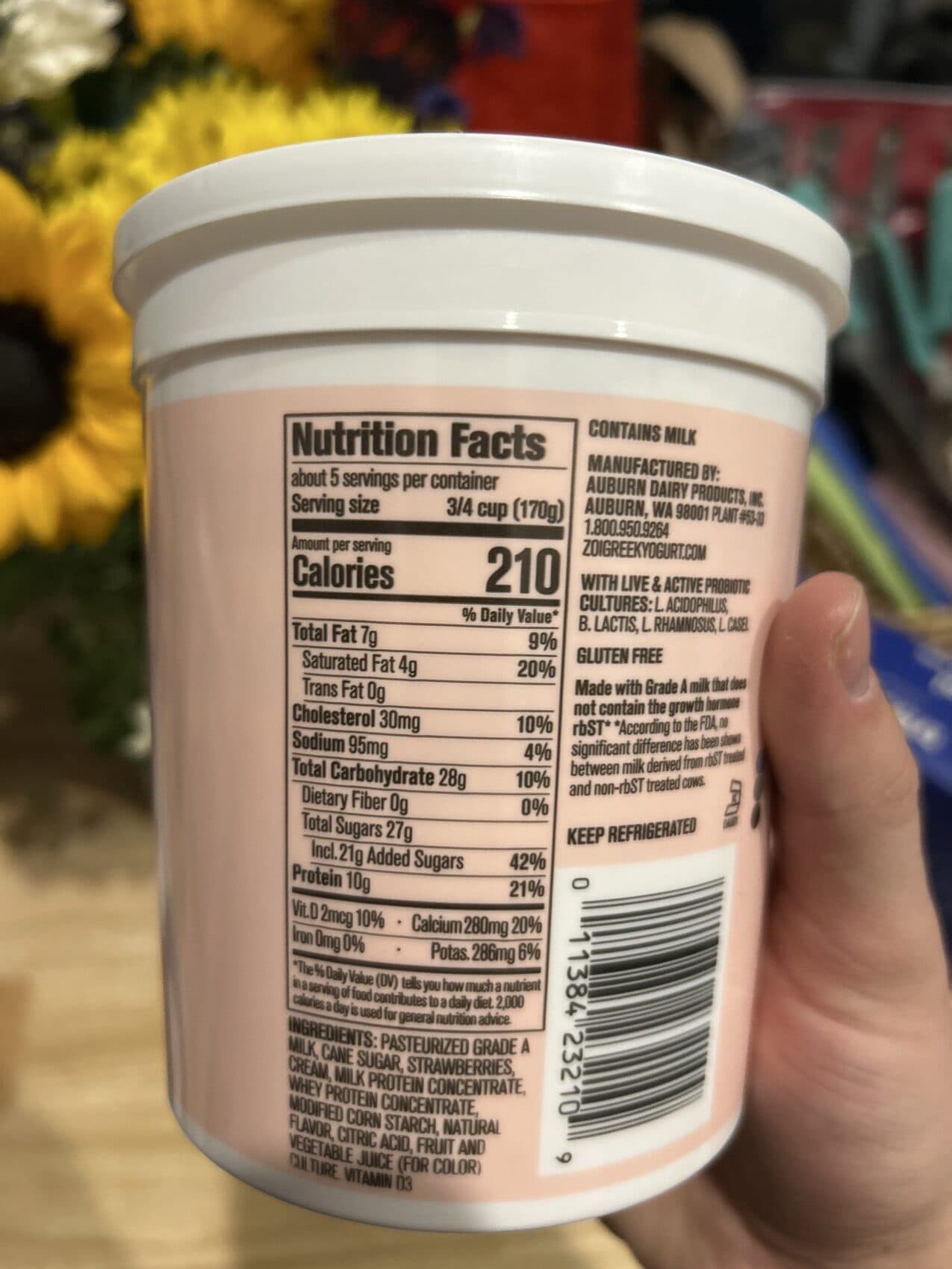 Zoi Greek Yogurt packshot