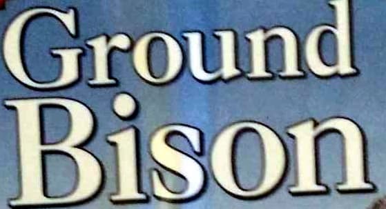 Great Range Ground Bison packshot