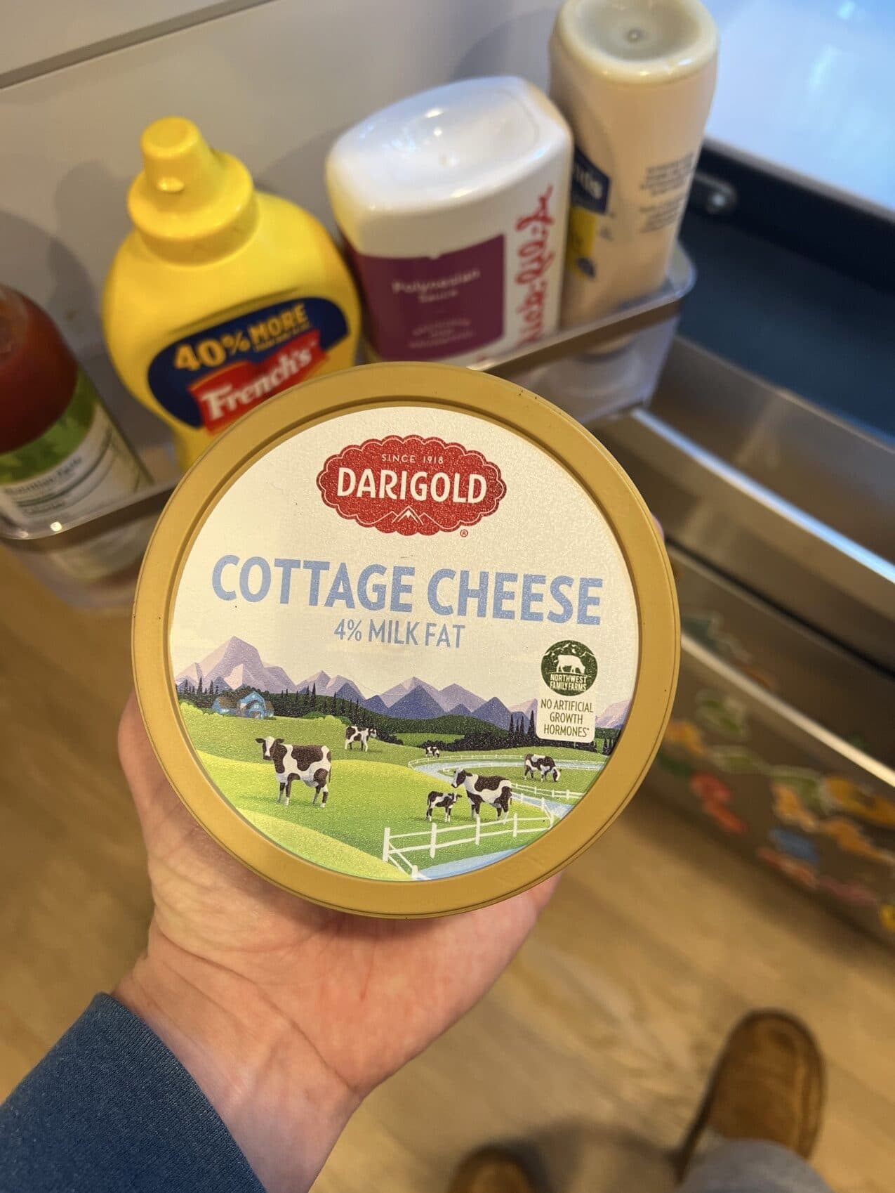 Darigold Whole Cottage Cheese packshot