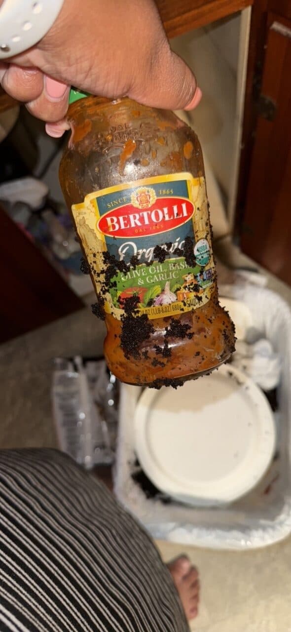 Bertolli Organic Olive Oil, Basil & Garlic Sauce packshot