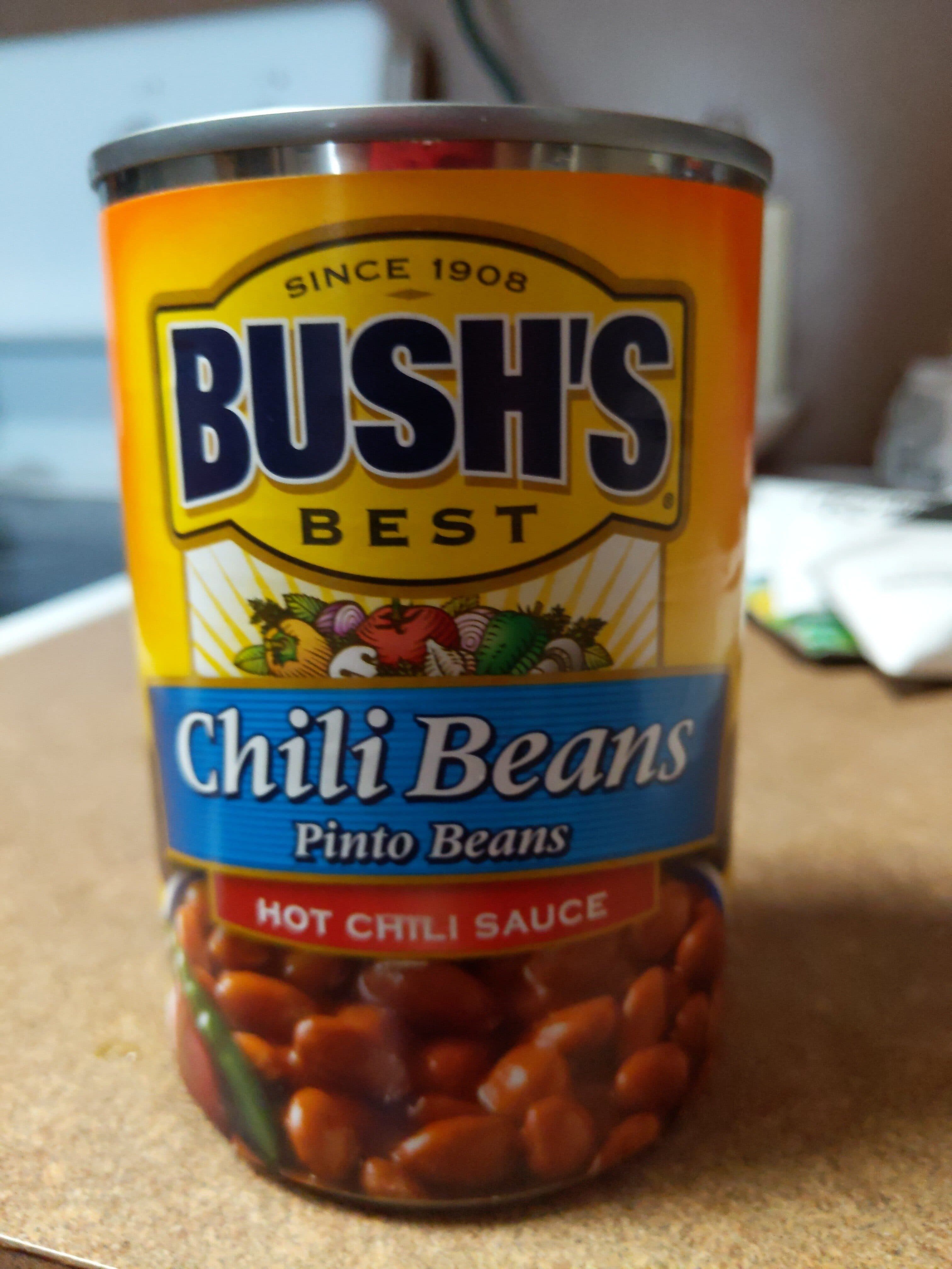 Bush's Best Chili Beans In Chili Sauce, Hot packshot