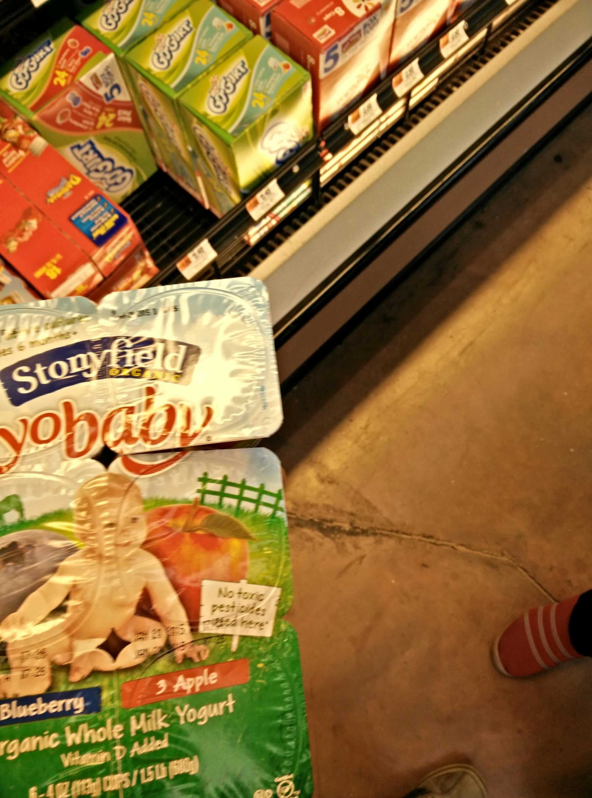 Stonyfield Organic YoBaby Blueberry Yogurt w/ Probiotics packshot