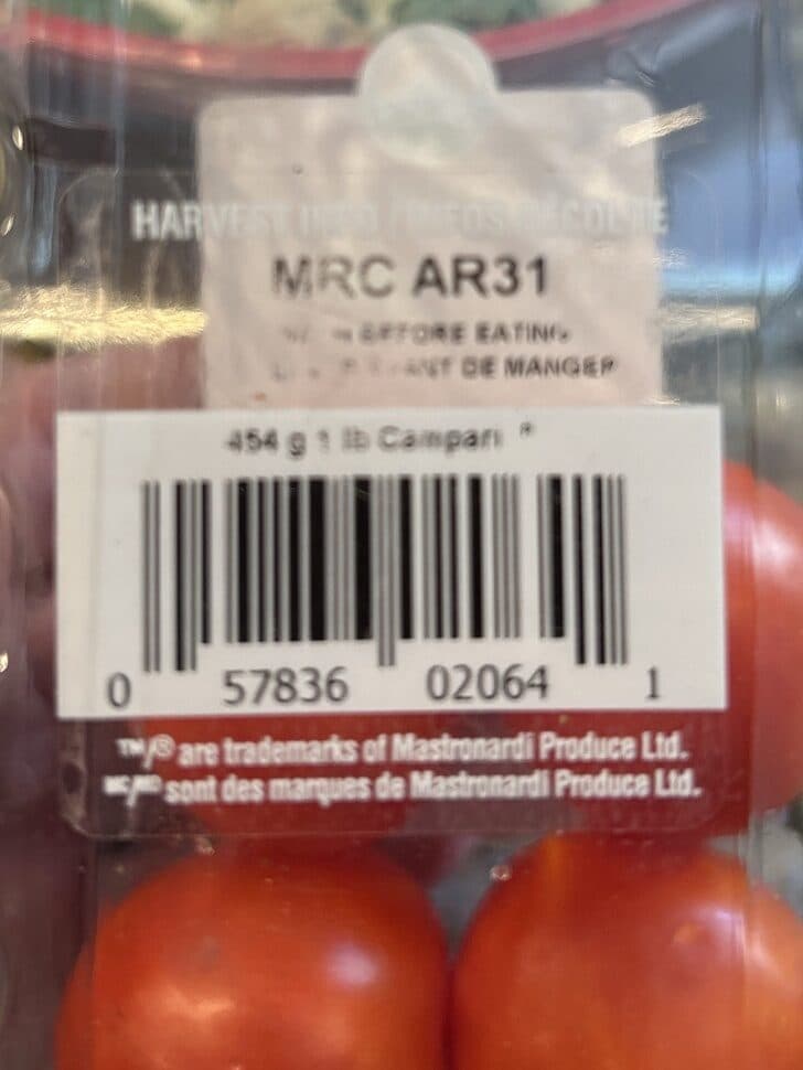 Sunset Campari Tomatoes packshot