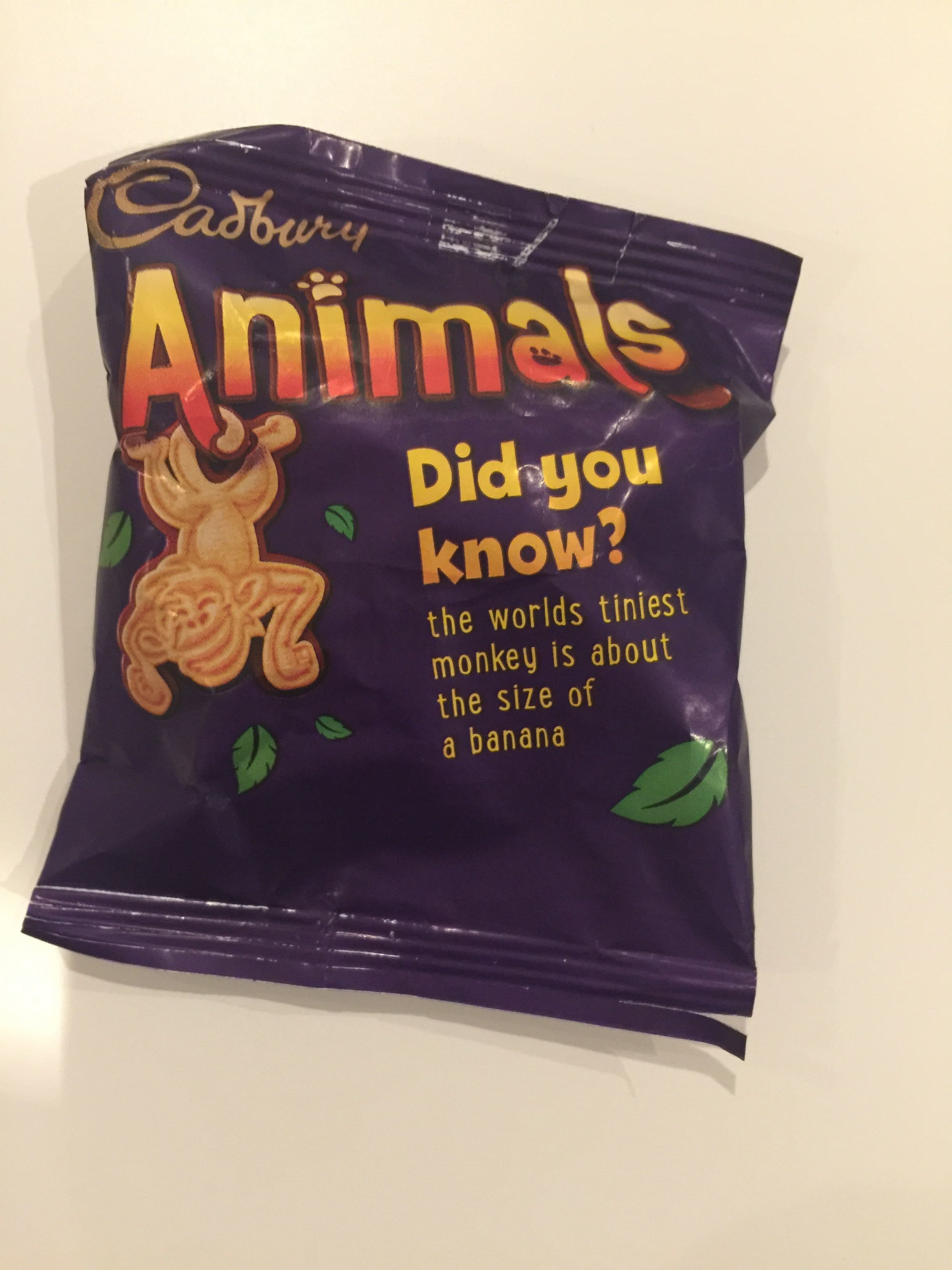 Cadbury Cadbury Animals Chocolate Biscuits packshot