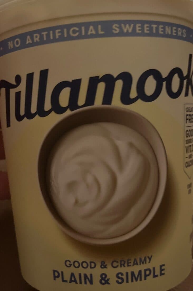 Tillamook Plain and simple lowfat yogurt packshot