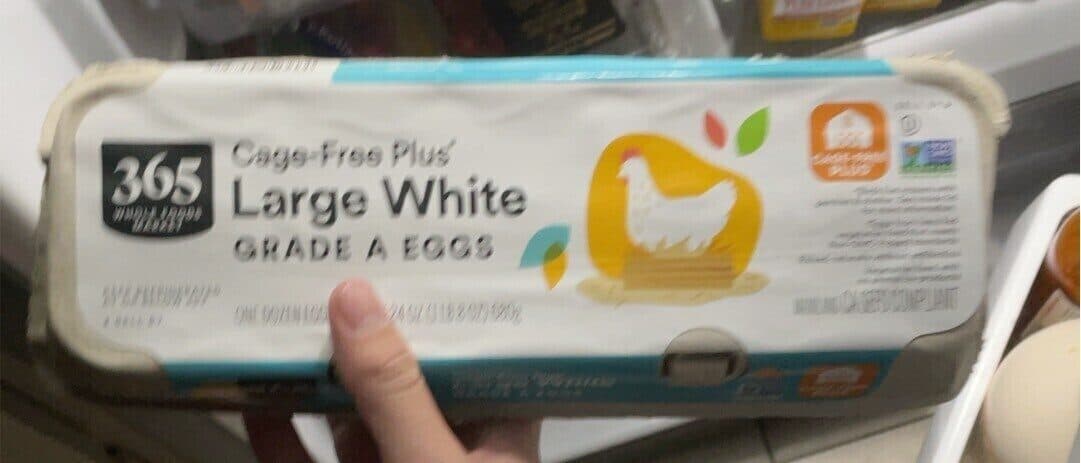 365 large white eggs packshot