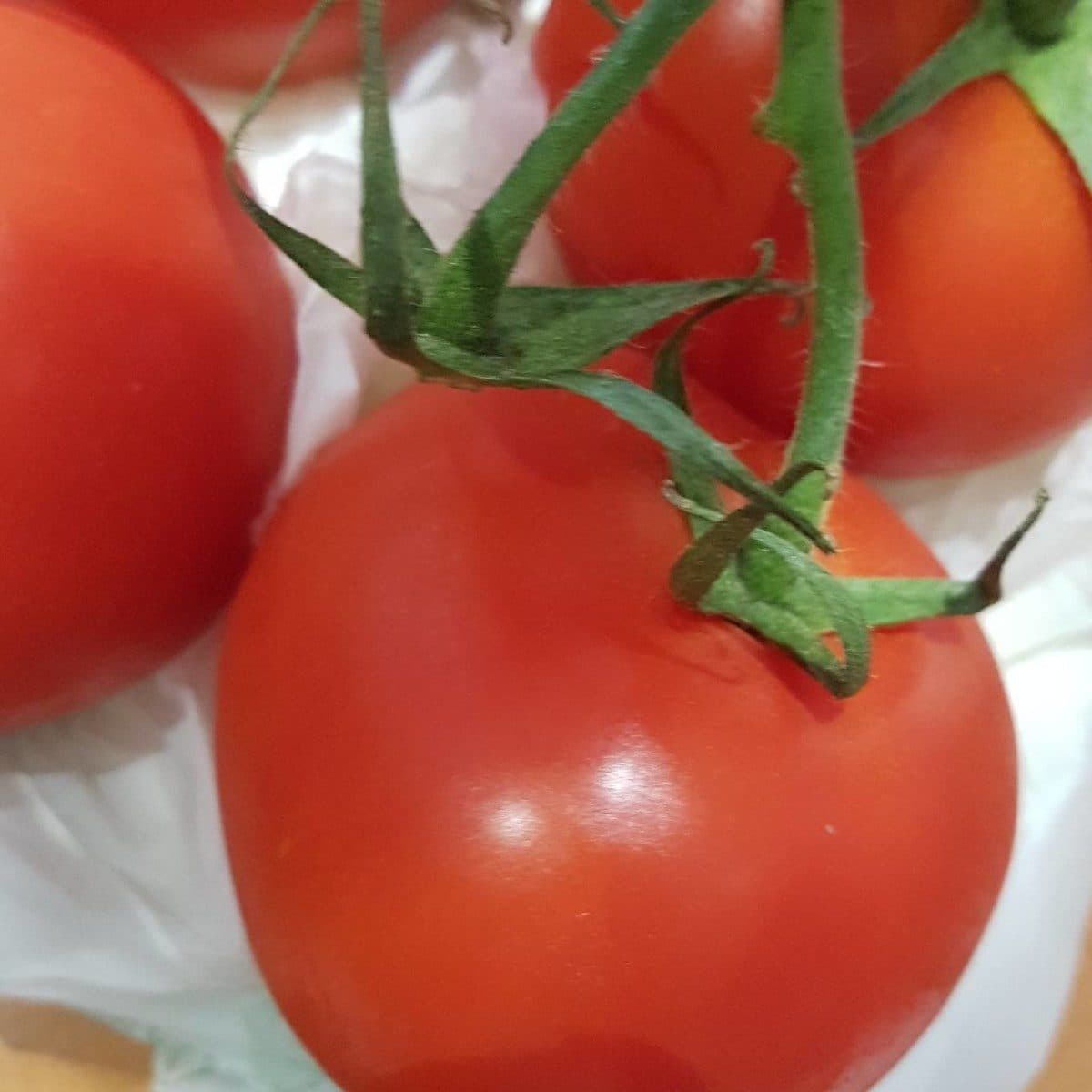 Open Food Facts Tomate grappe France packshot