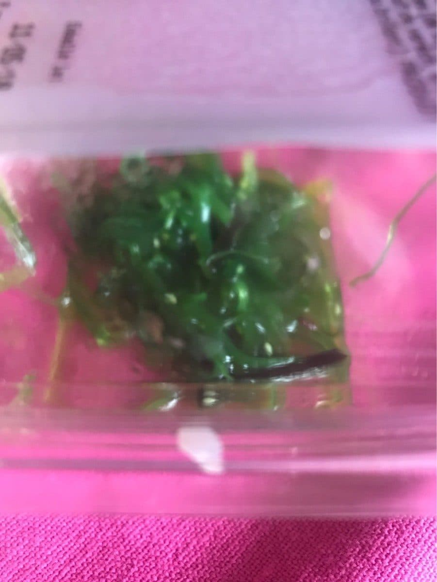Open Food Facts Salade wakame packshot