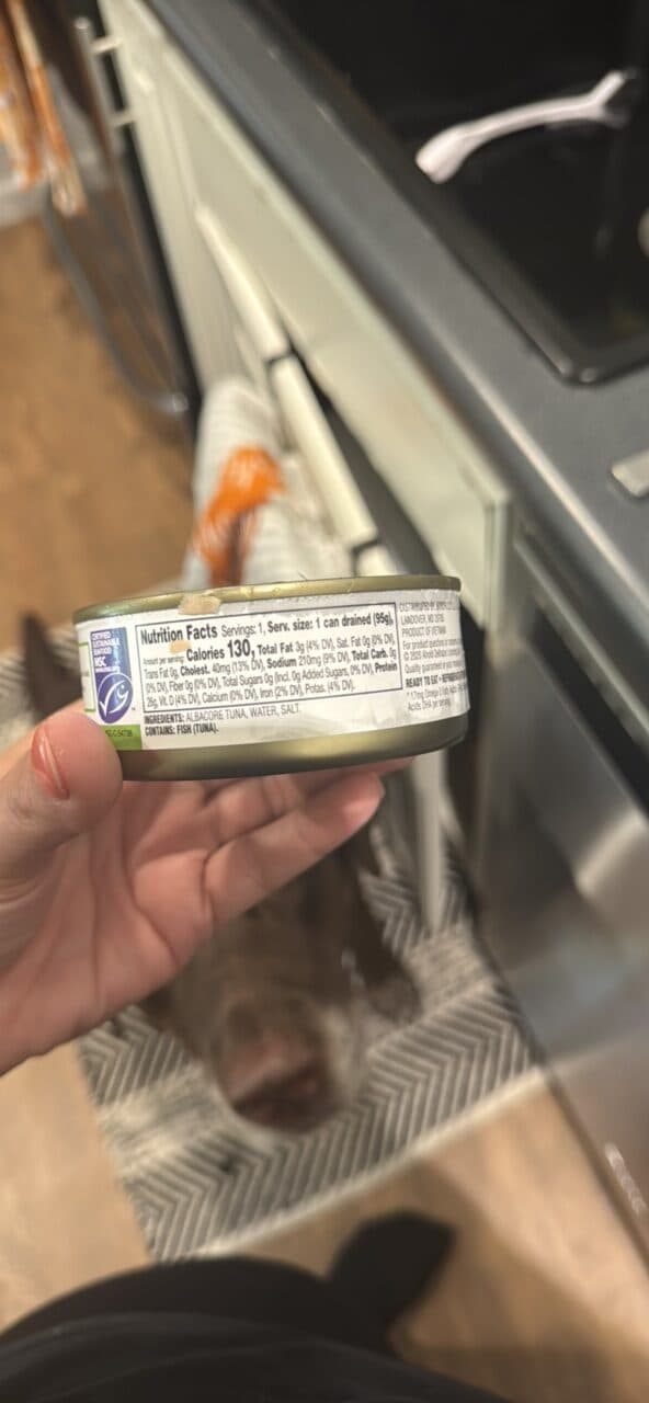 Nature's Promise Solid White Albacore Tuna in Water packshot