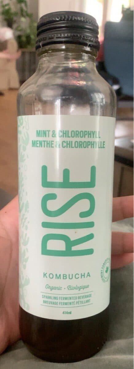 Rise Organic Kombucha Mint & Chlorophyll packshot