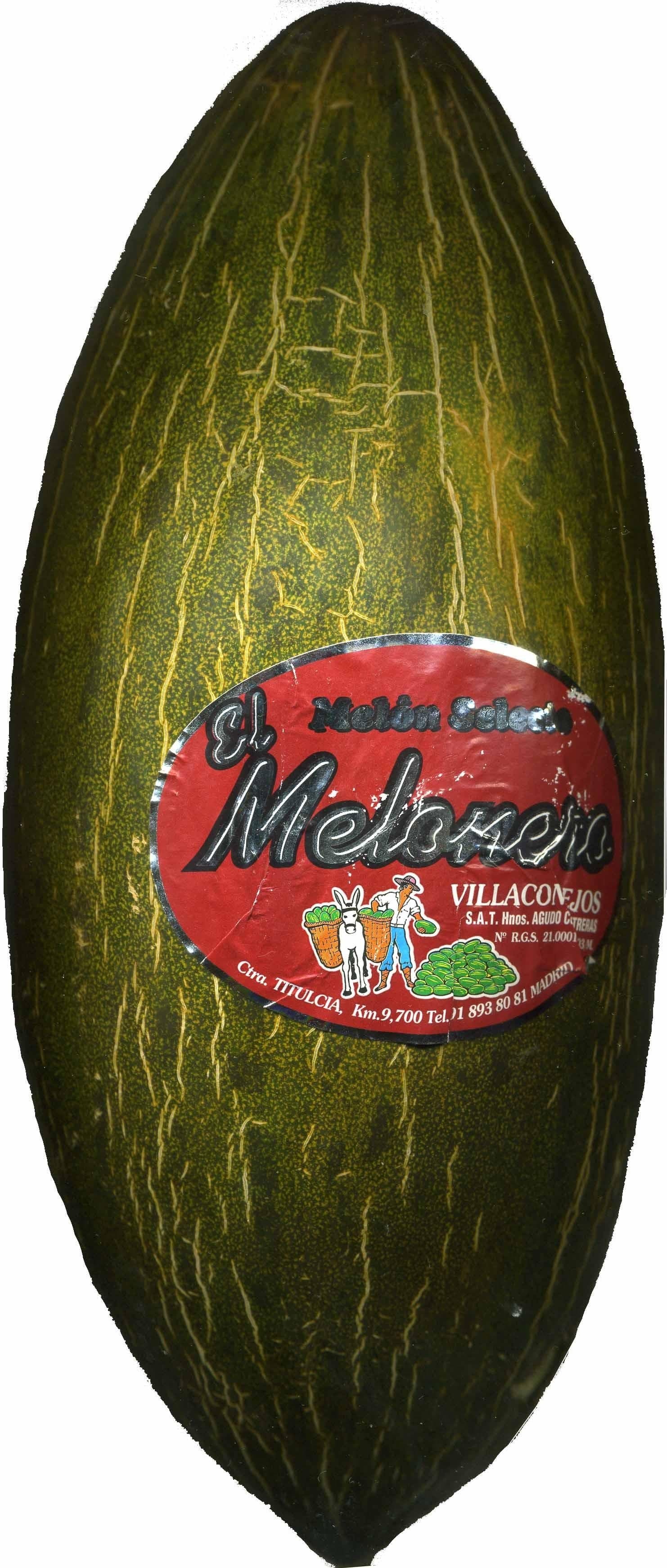 El Melonero Melón variedad piel de sapo packshot