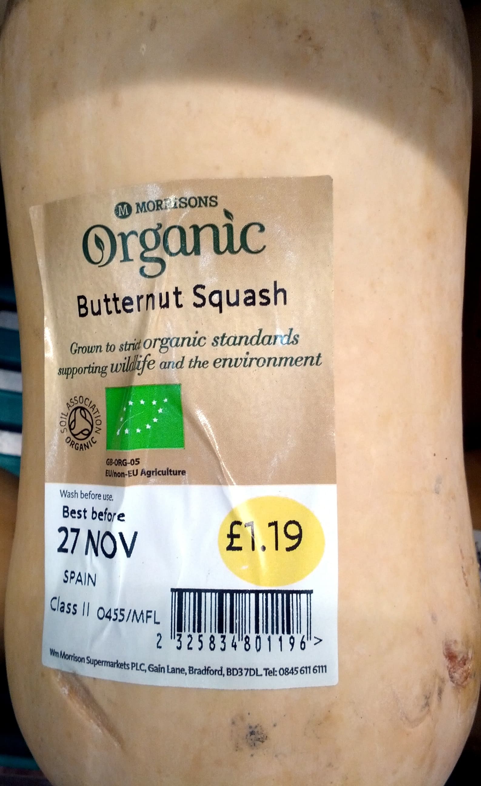 Morrisons Butternut Squash packshot