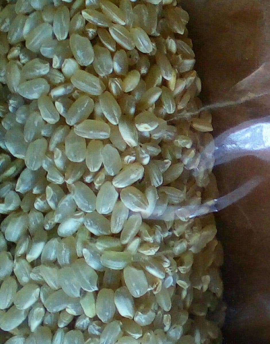Open Food Facts Riz rond complet packshot