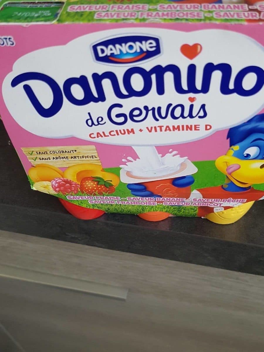 Danone Danonino de Gervais aux fruits packshot