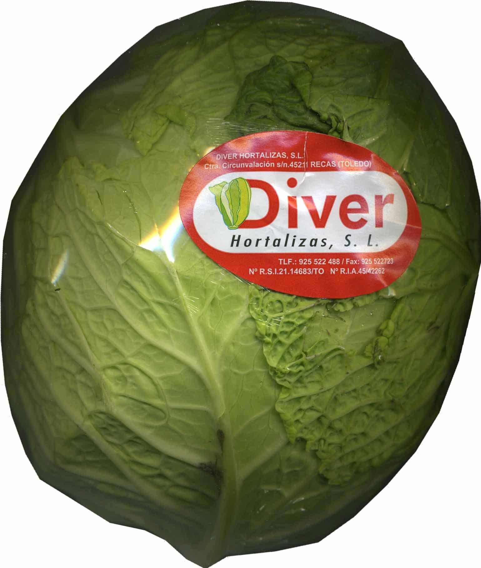 Diver Repollo packshot