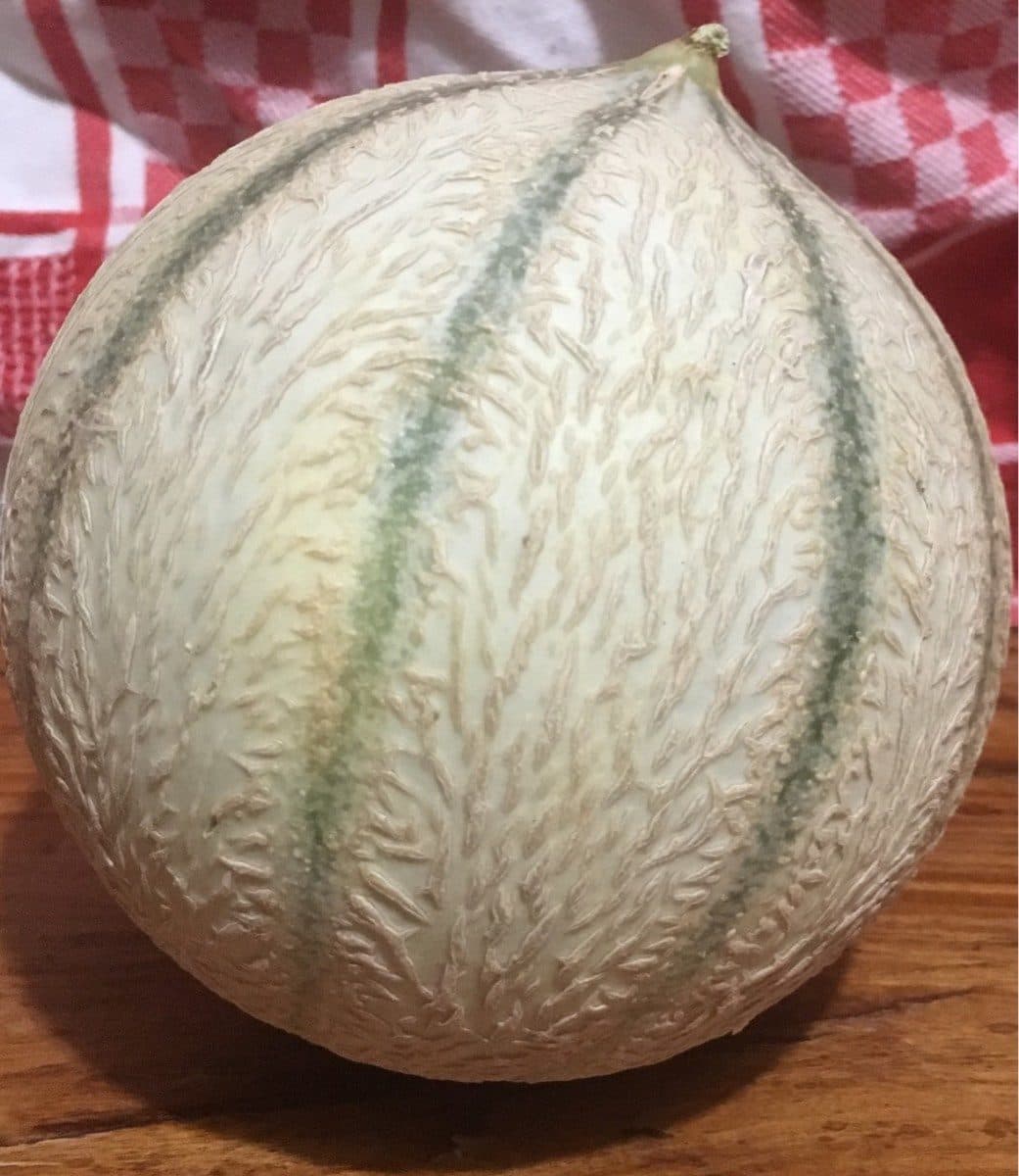 Open Food Facts Melon petit calibre pièce packshot
