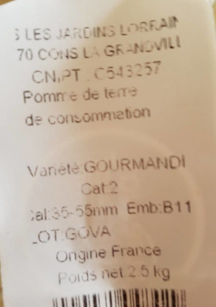 SARL Loridan Pommes de terre de consommation lavées packshot
