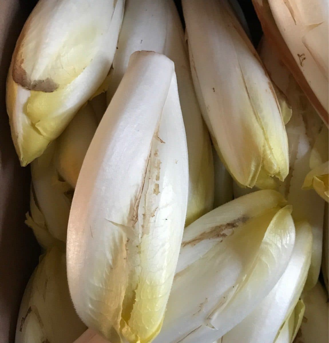 Open Food Facts Endives packshot