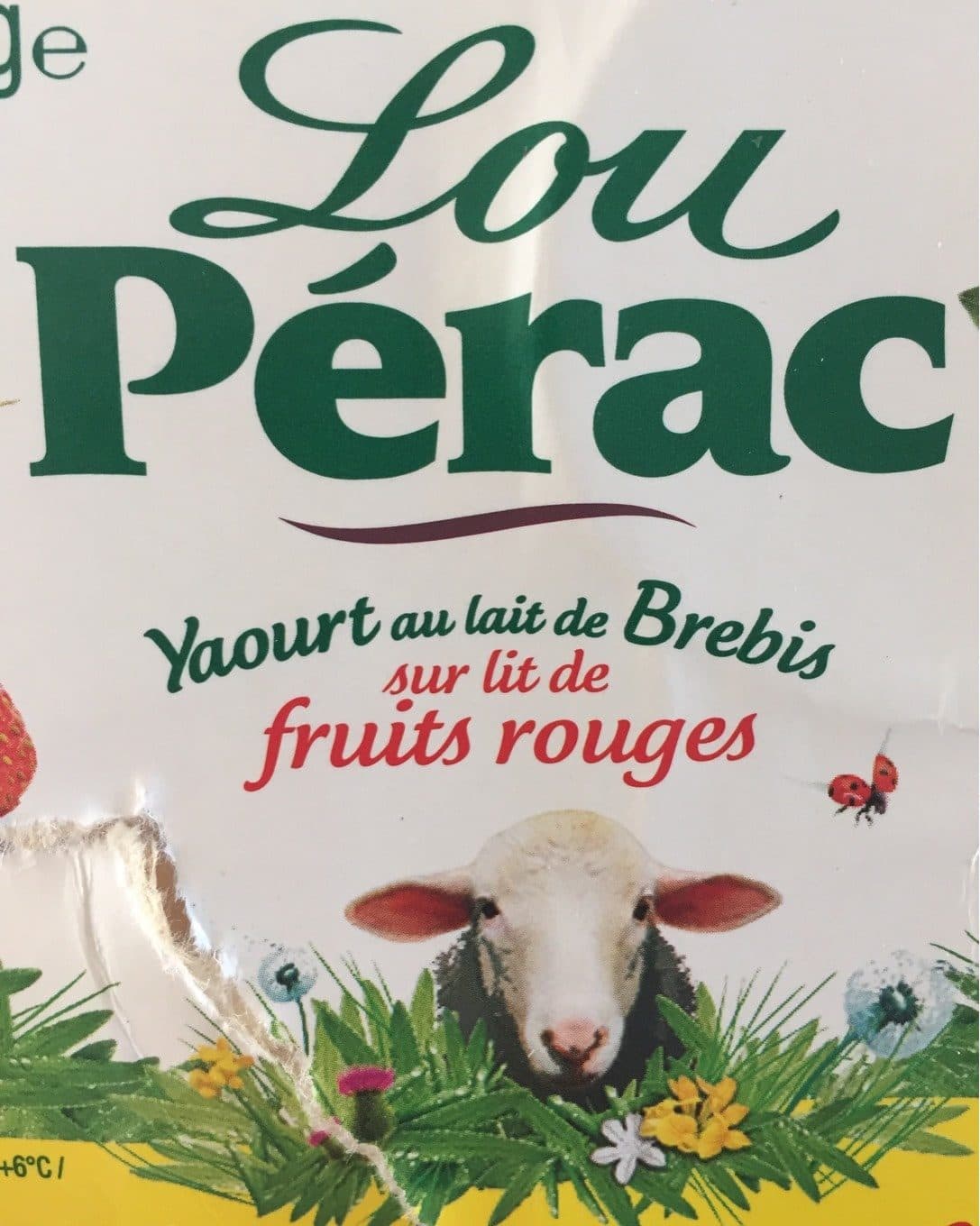 Lou Perac Yaourt au lait de brebis sur lit de fruits rouges packshot