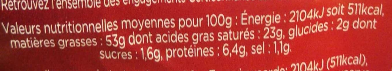 Labeyrie Bloc de foie gras de canard du Sud-Ouest avec morceaux packshot