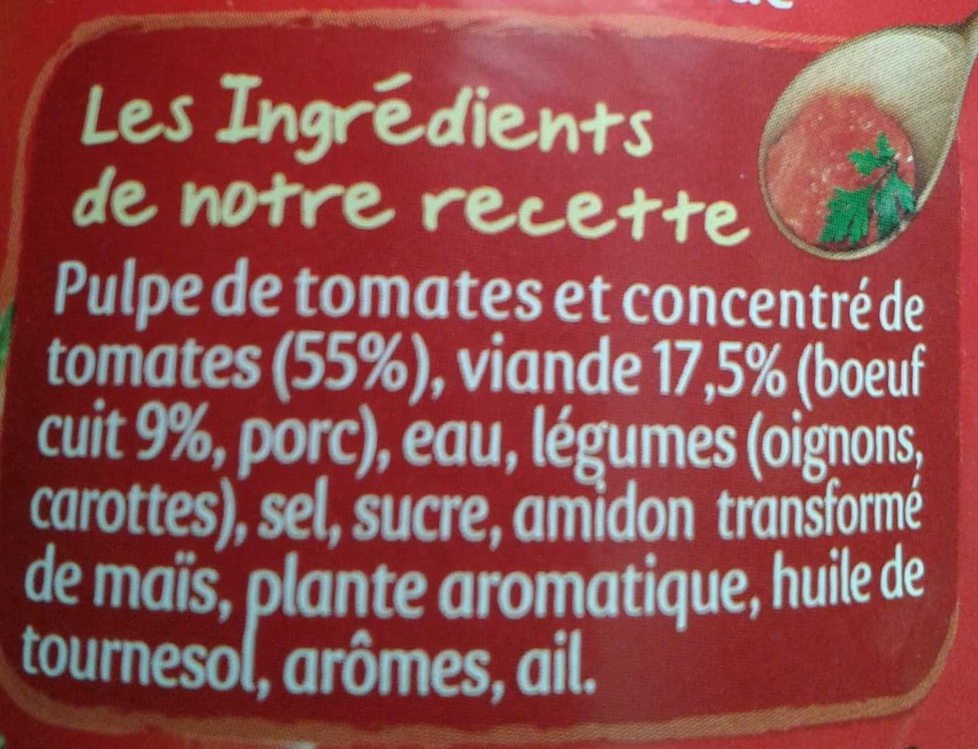 Panzani Bolognaise packshot