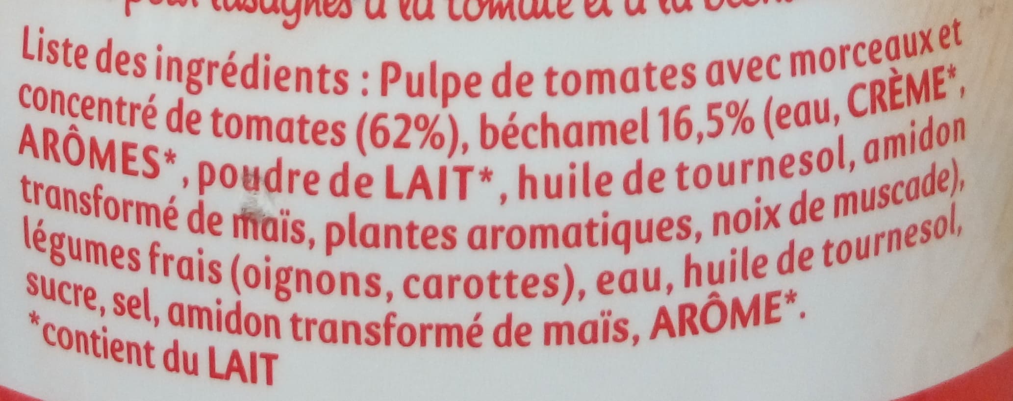 Panzani Lasagnes Facile ! packshot
