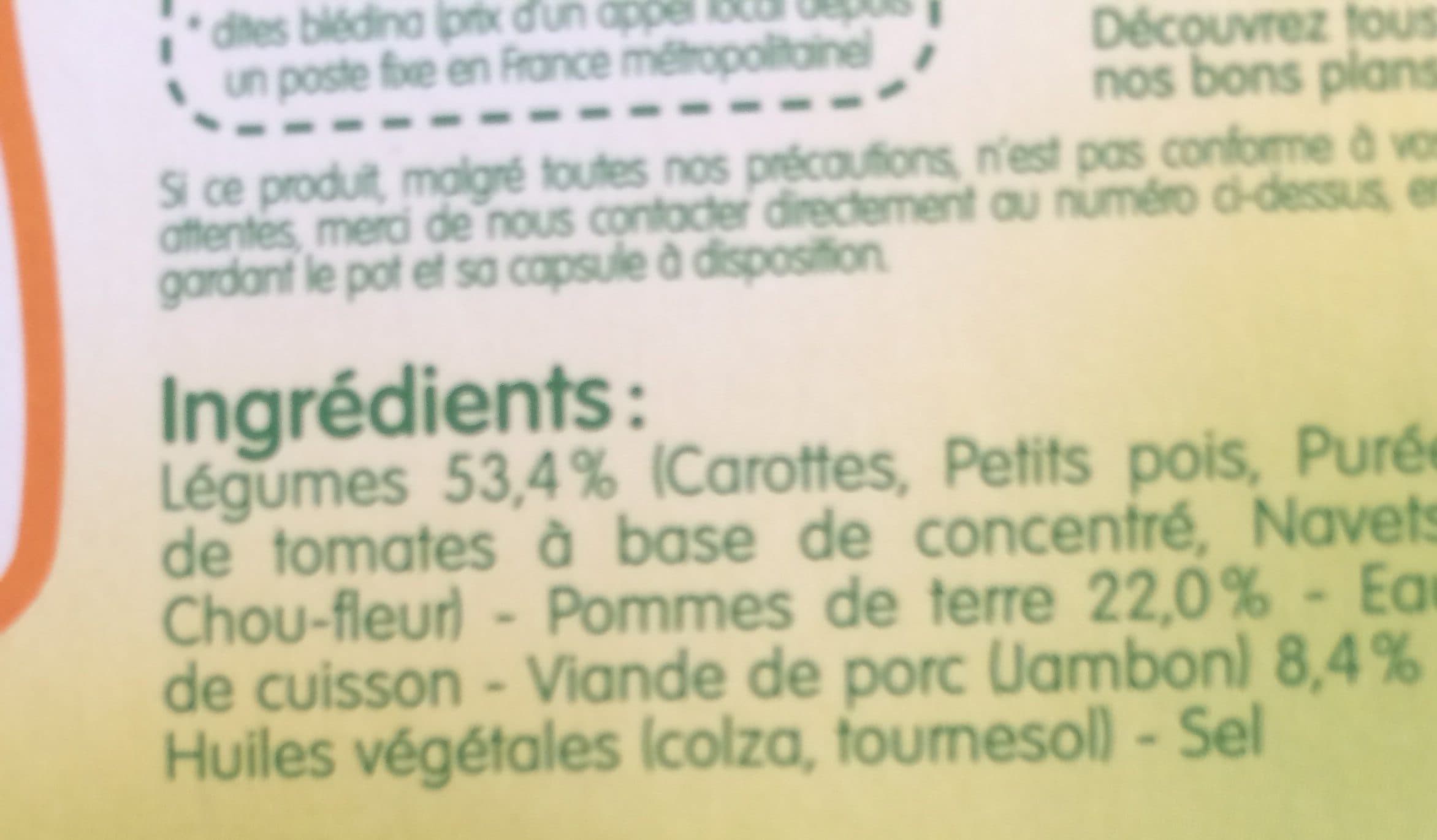 bledina Printanière de Légumes Jambon 2x200g packshot