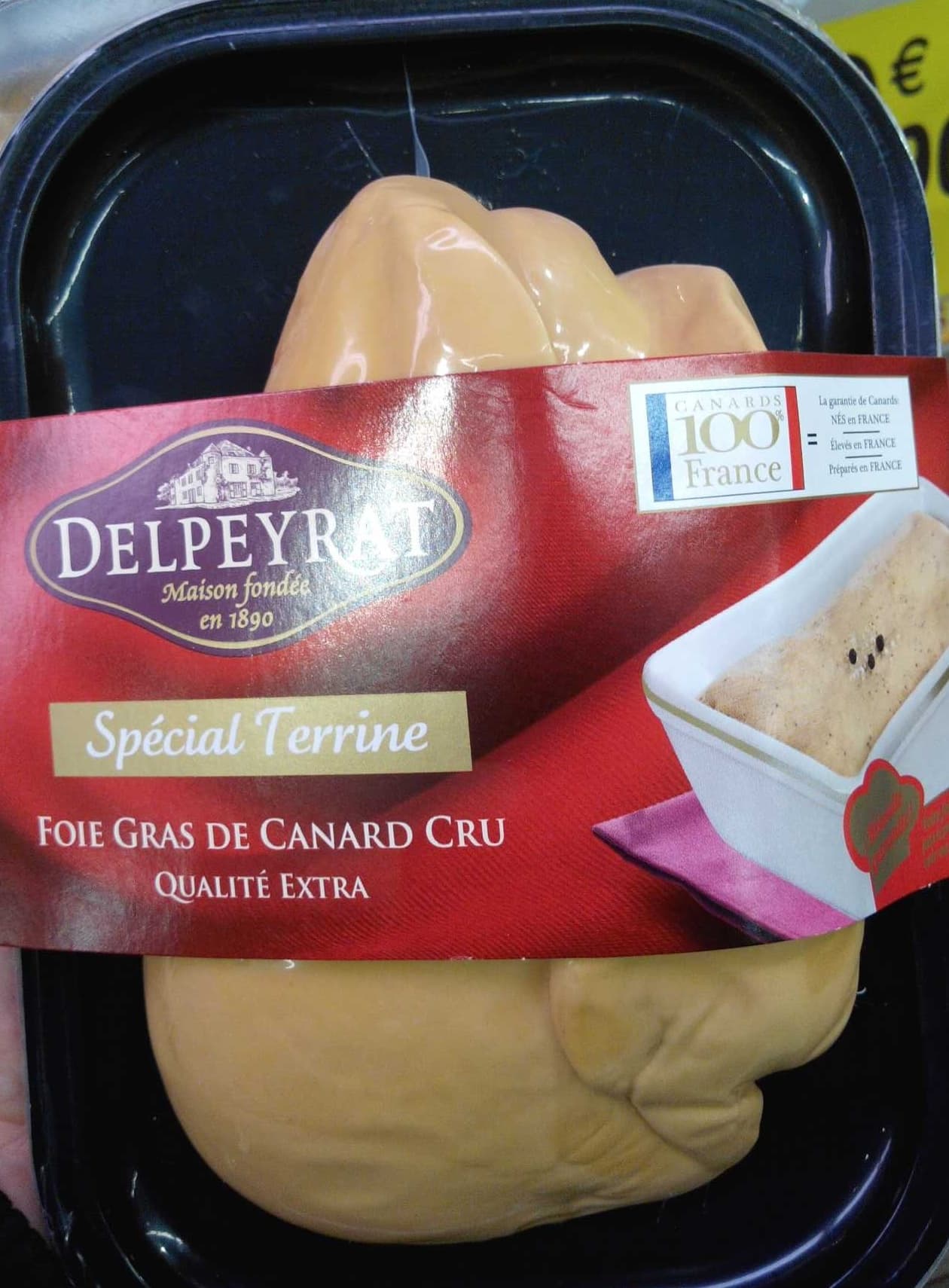 Delpeyrat Foie gras de canard cru qualité extra spécial terrine packshot