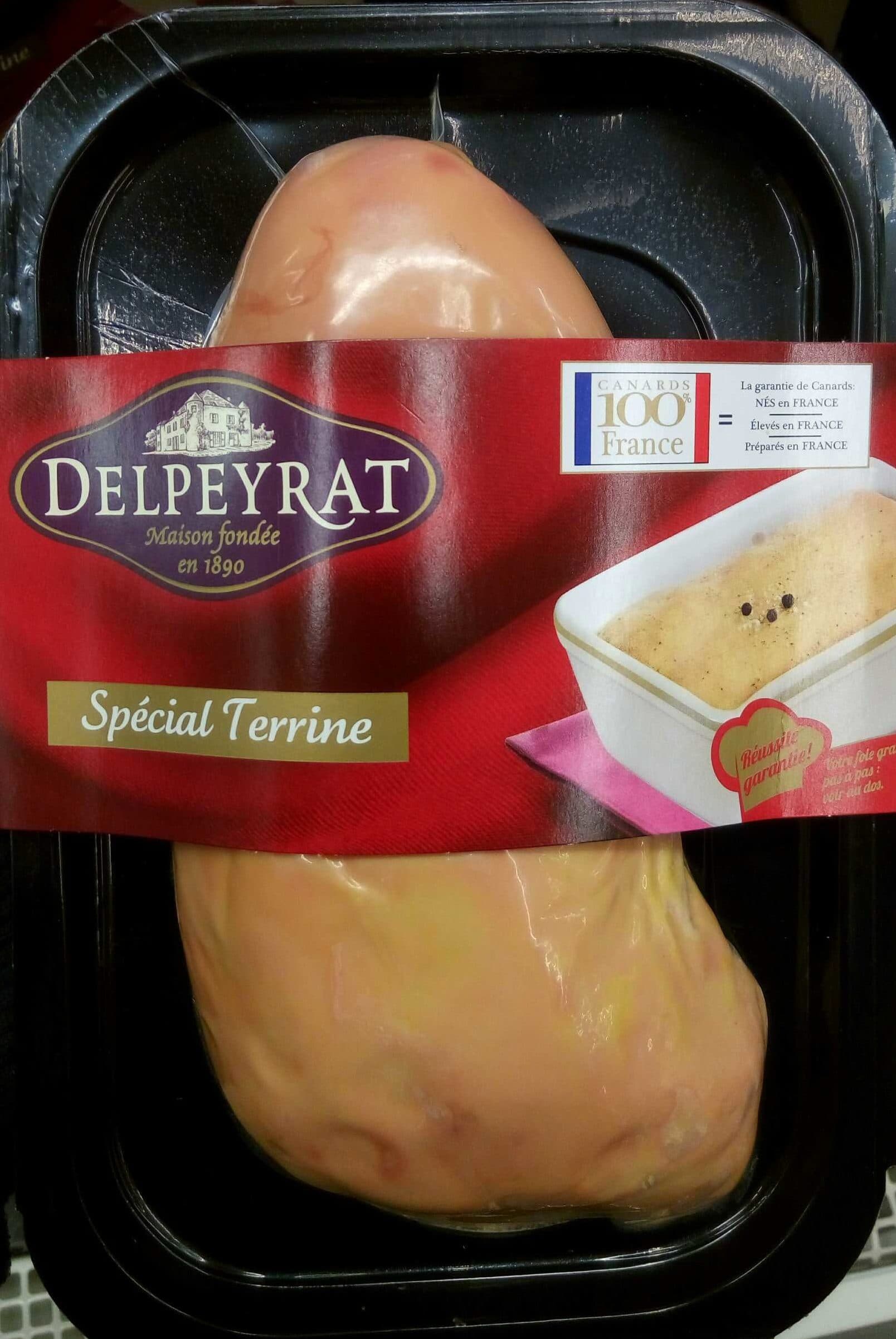 Delpeyrat Foie gras spécial terrine packshot