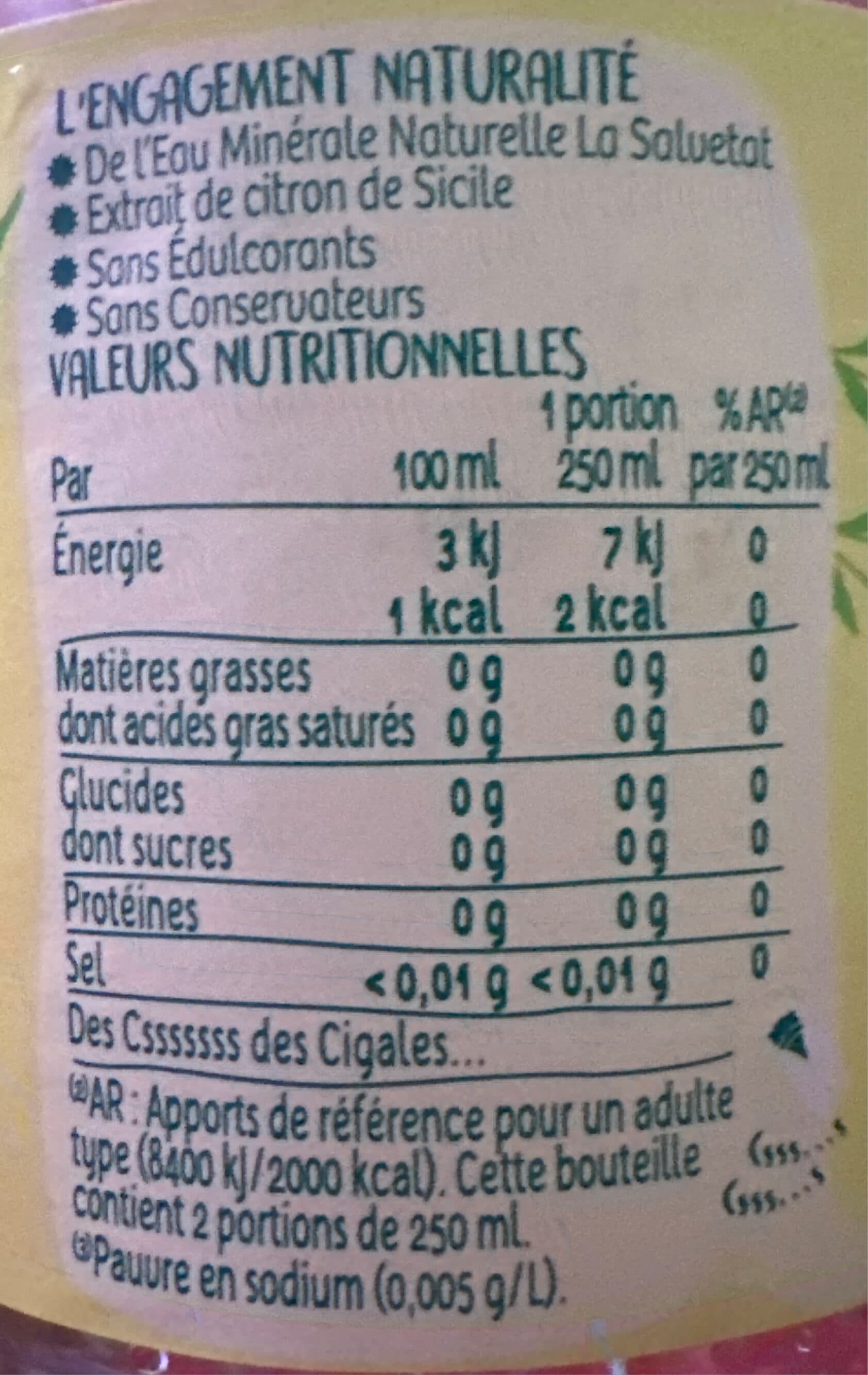 La Salvetat Citron packshot