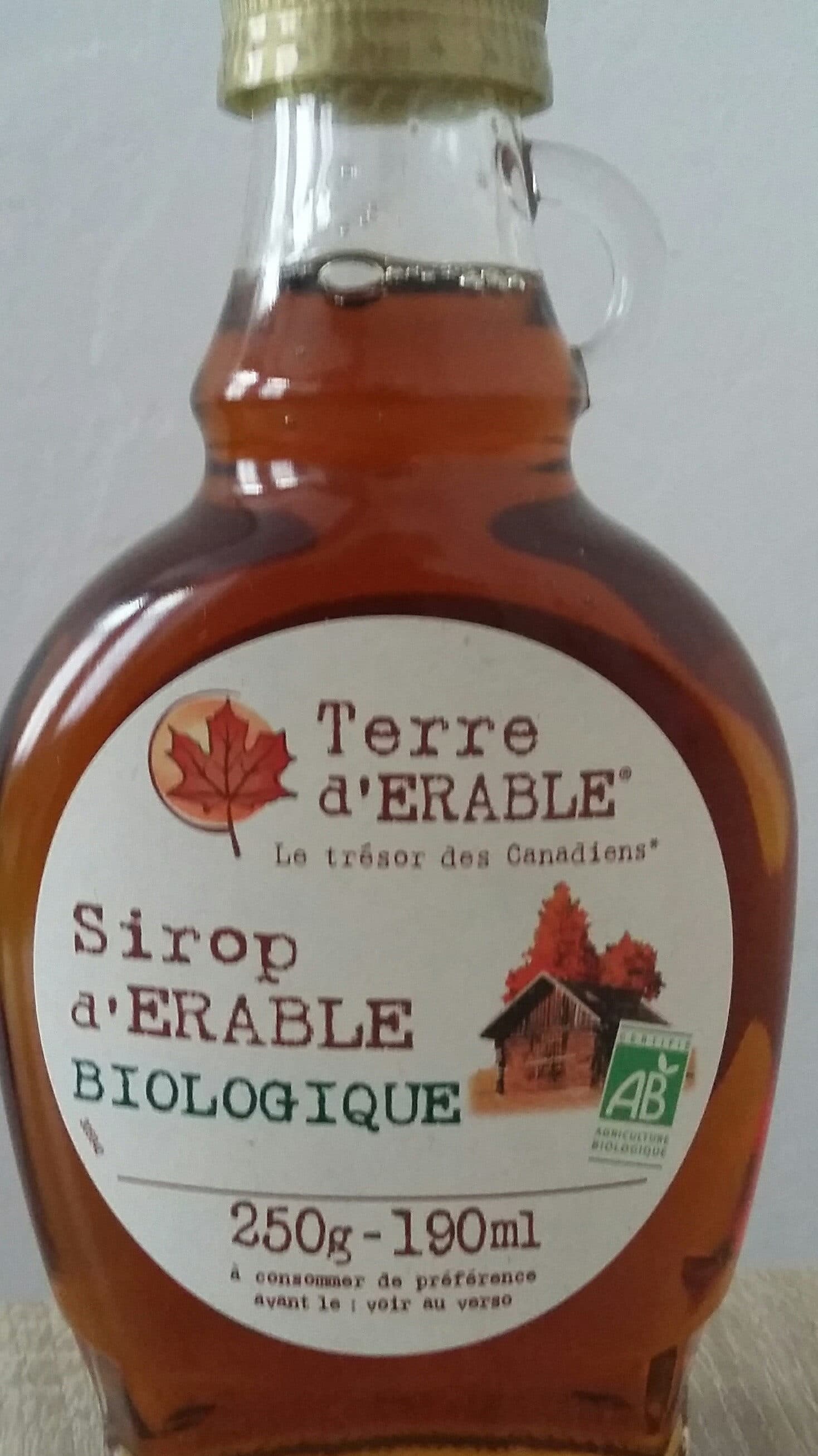Terre D'erable Sirop D'erable packshot