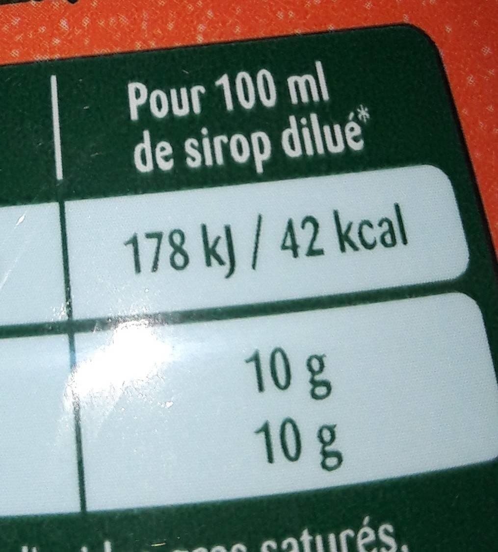 Teisseire Sirop pêche packshot