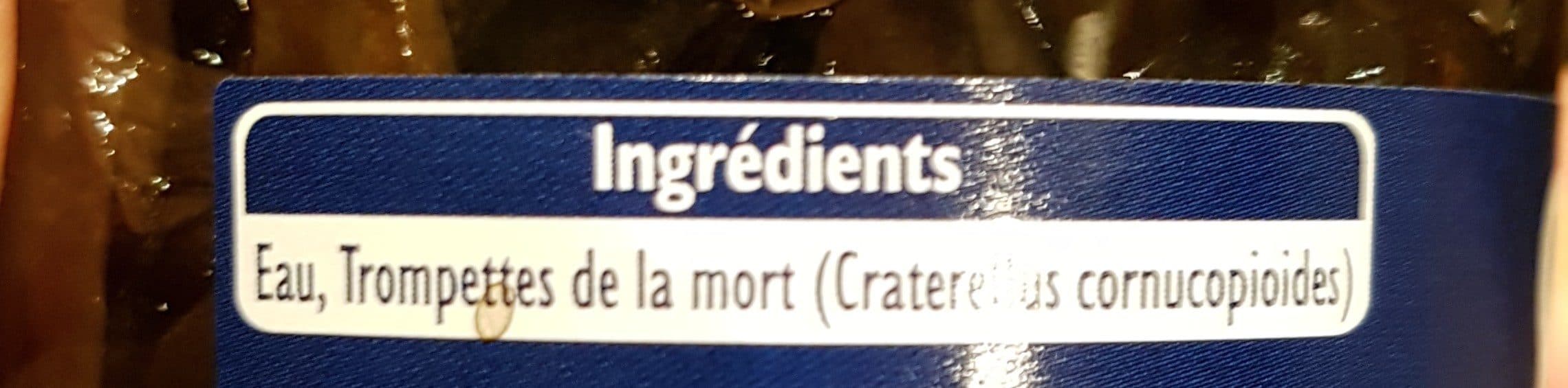 Sabarot Trompettes De La Mort, Bocal De 37 Centilitres, Marque Sabarot packshot