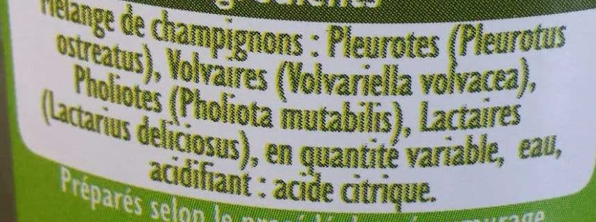 Sabarot Sélection de champignons packshot