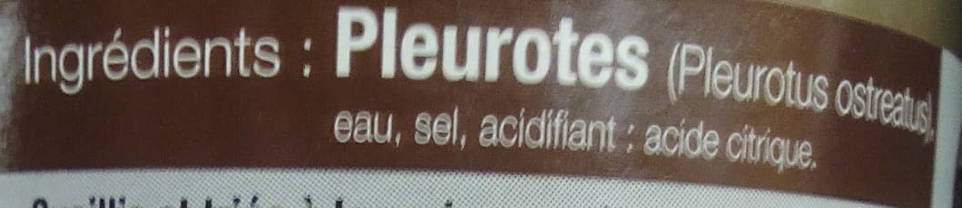 Borde Pleurotes packshot