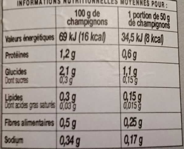 Borde Foliotes packshot