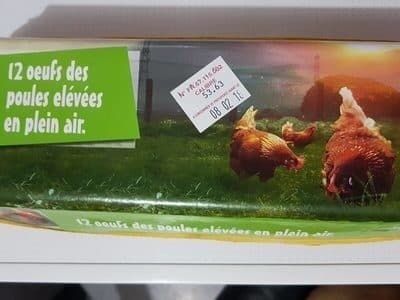 Ferme Kientz 12 oeufs de poules élevées en plein air packshot