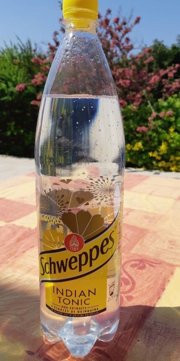 Orangina Schweppes Tonic Indian packshot