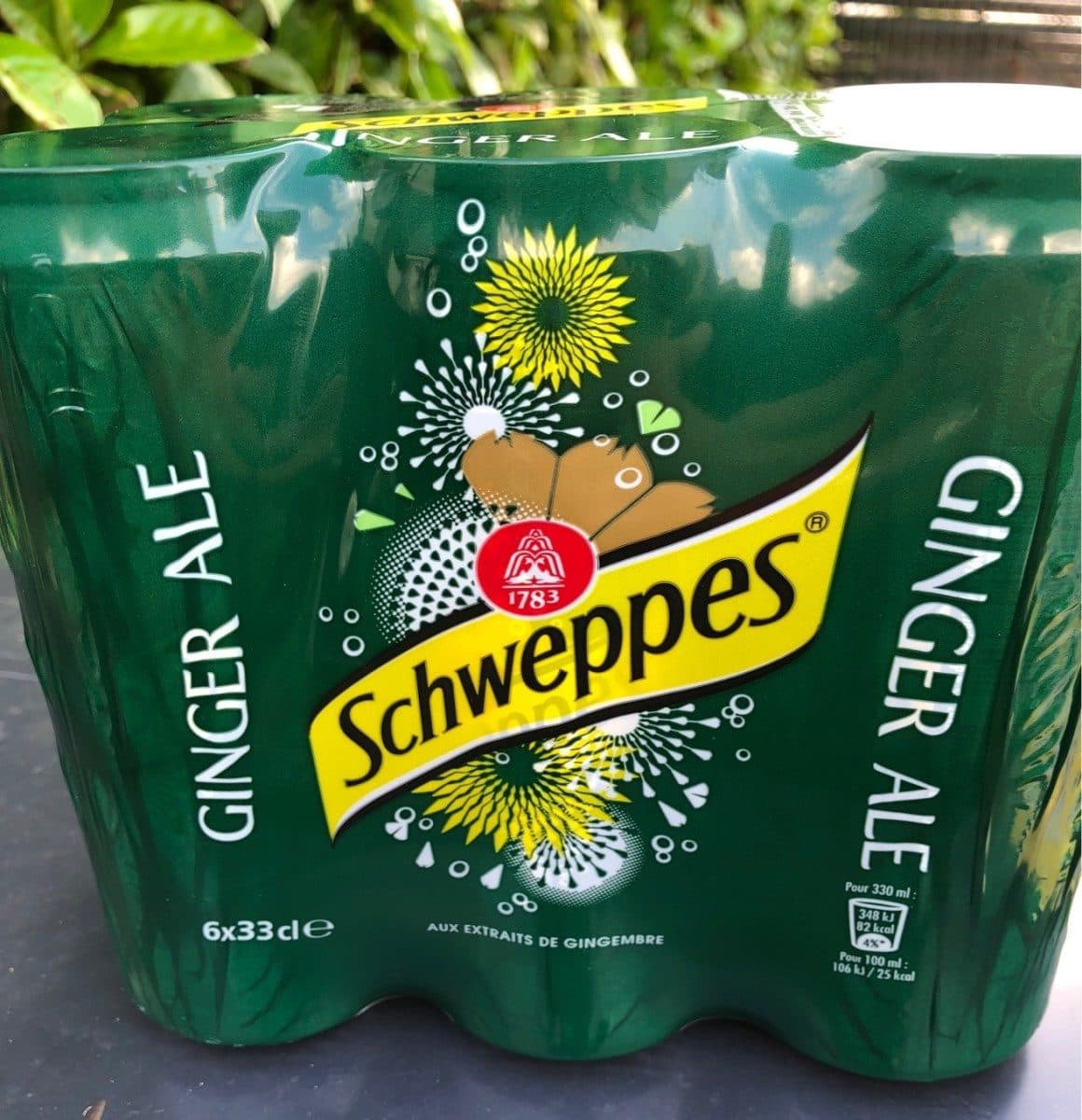 Schweppes Ginger Ale packshot