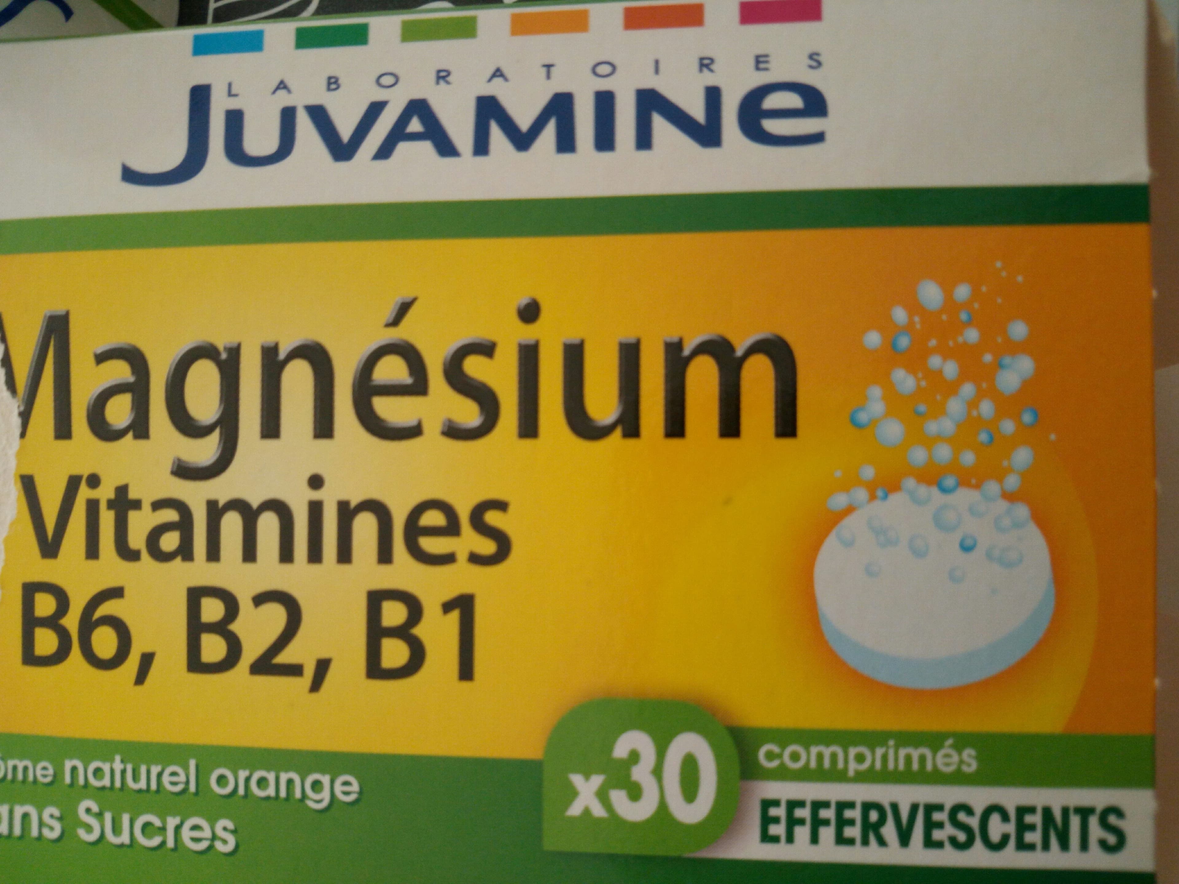 Juvamine Magnésium + Vitamine B6 Juvamine packshot