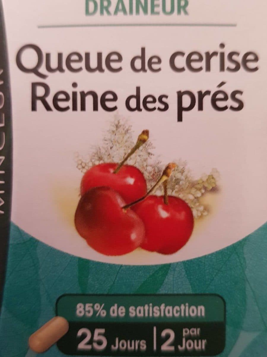Juvamine Juvamine Phyto Queue De Cerise - Reine Des Prés (50 Gélules) packshot