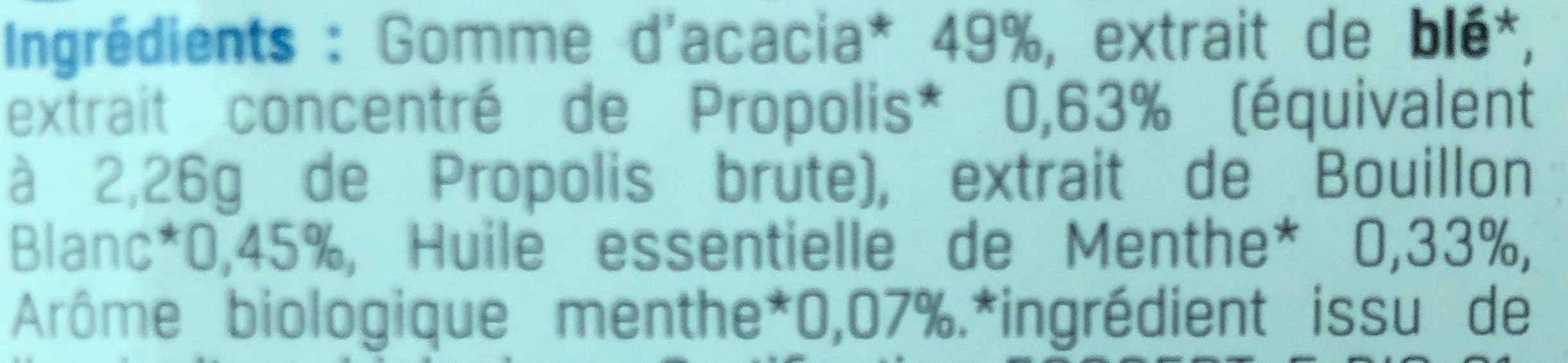 Vecteur sante Gommes Propolis Menthe Sans Sucre Bio packshot