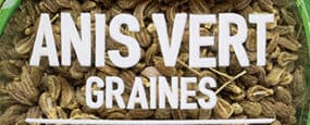 Ducros Graines anis vert packshot