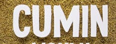 Ducros Cumin moulu packshot
