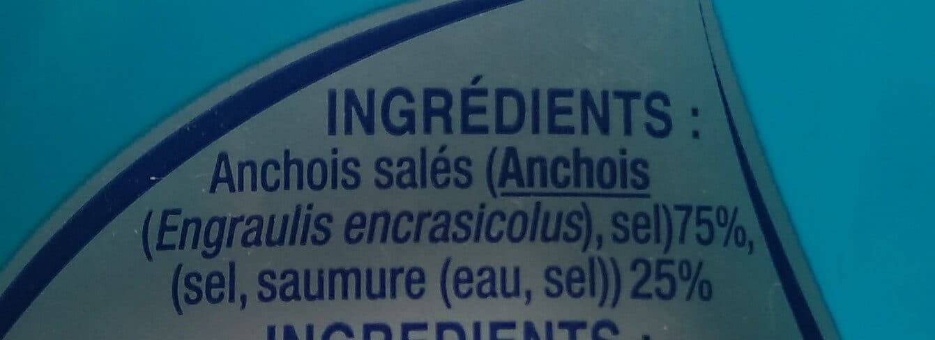 Belmonte Anchois au sel packshot