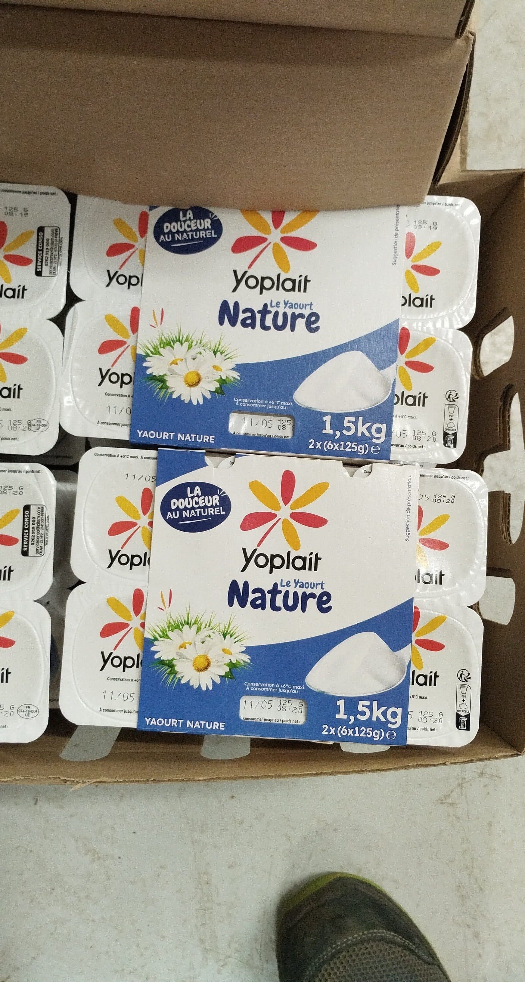 Yoplait yaourt nature packshot