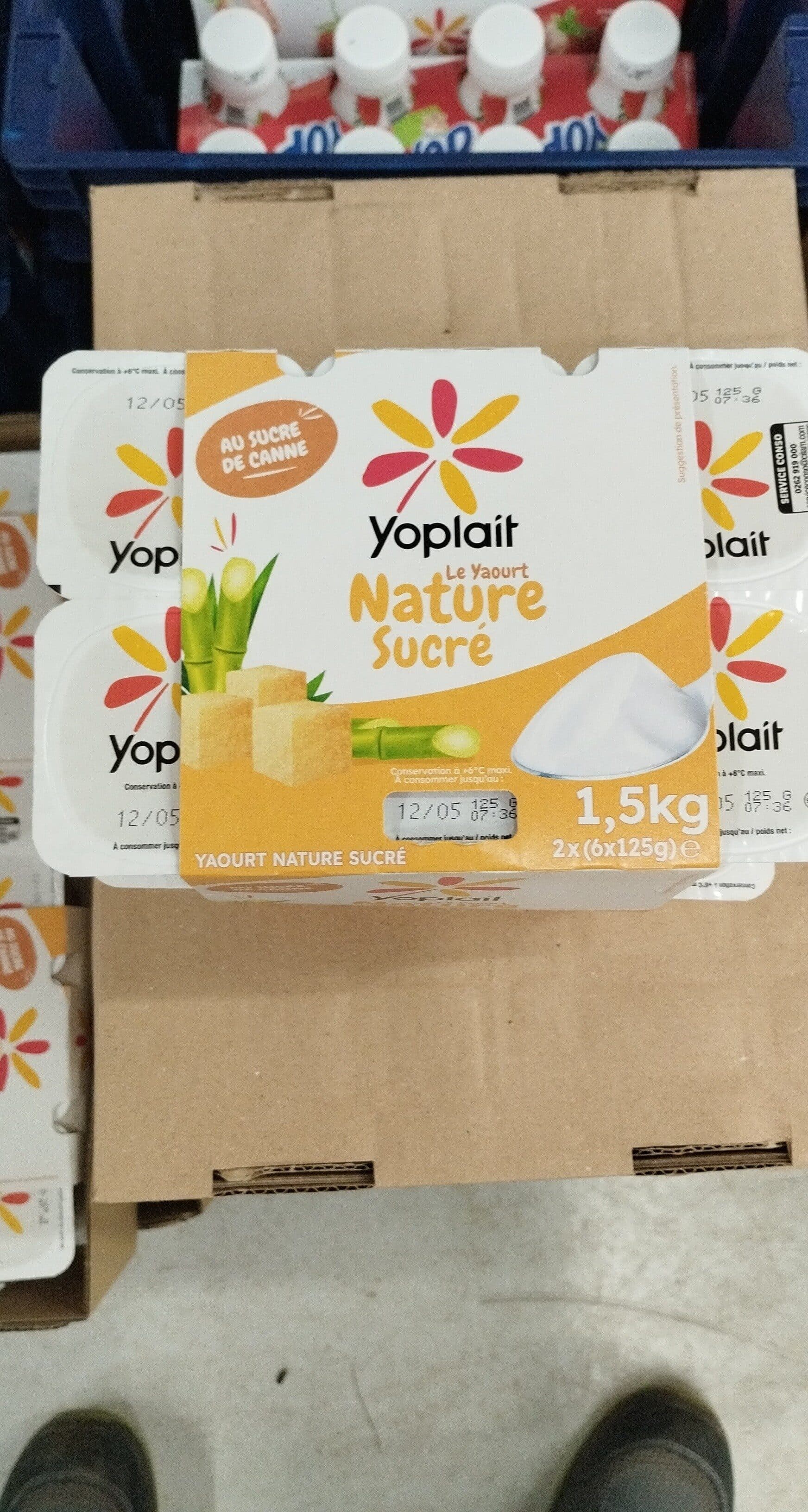 YOPLAIT yaourt nature sucré packshot
