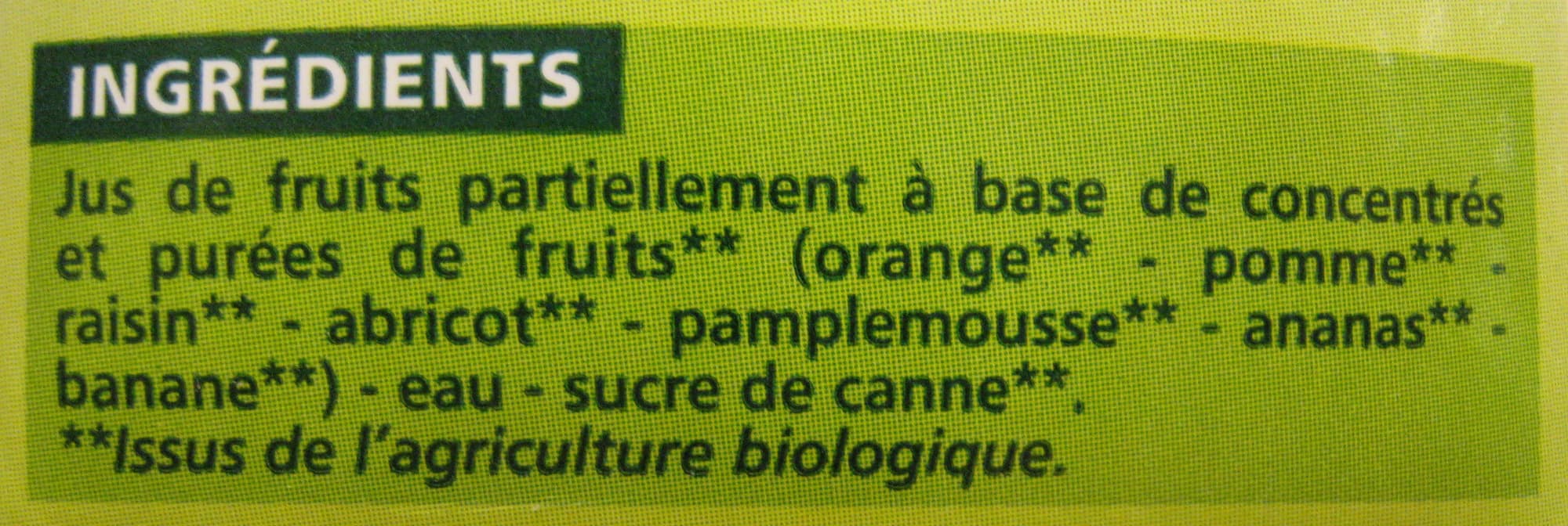 Casino Nectar Multifruits À Base de Concentrés et de Purées de Fruits packshot