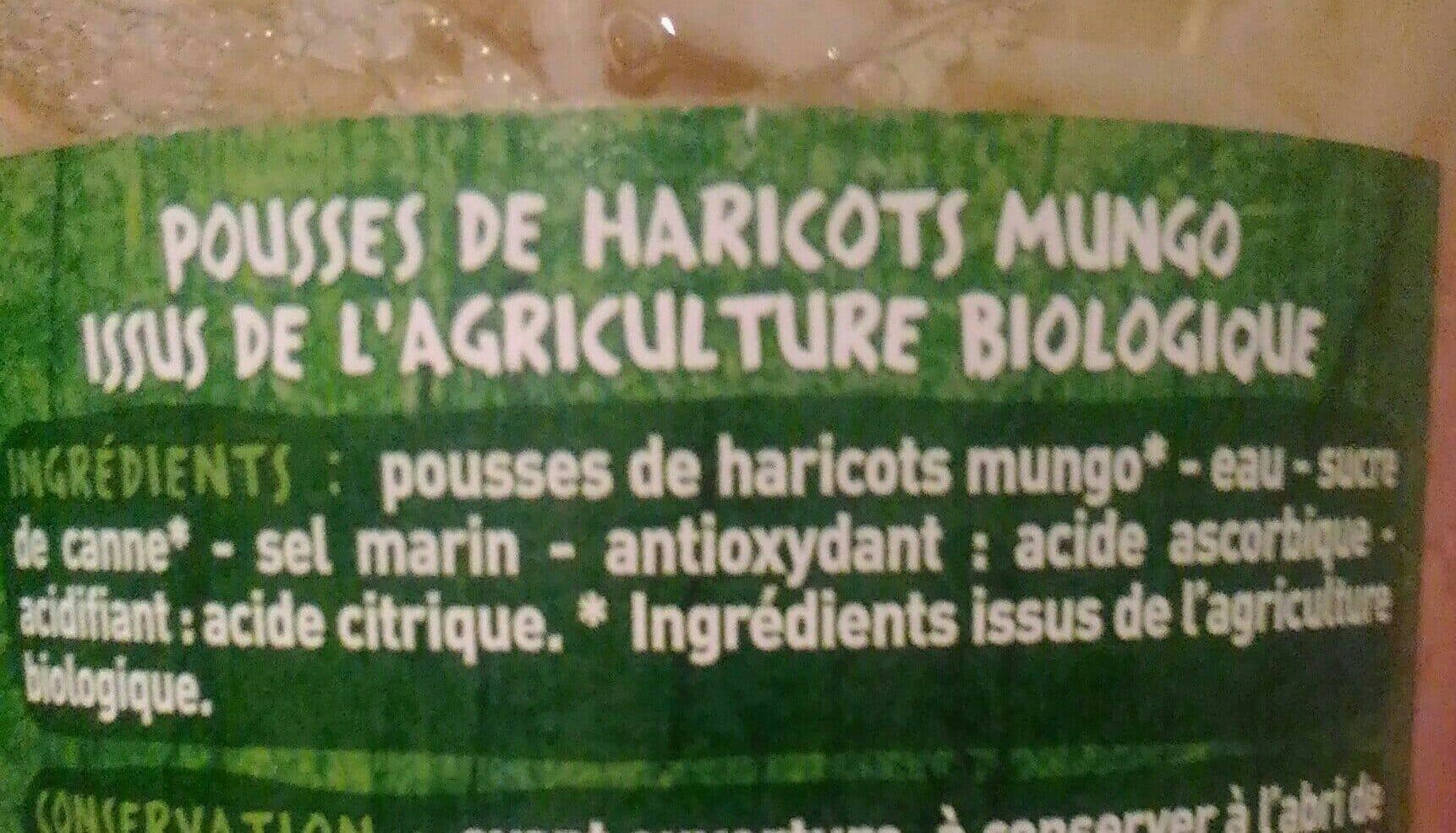Casino Pousses de haricots mungo bio packshot