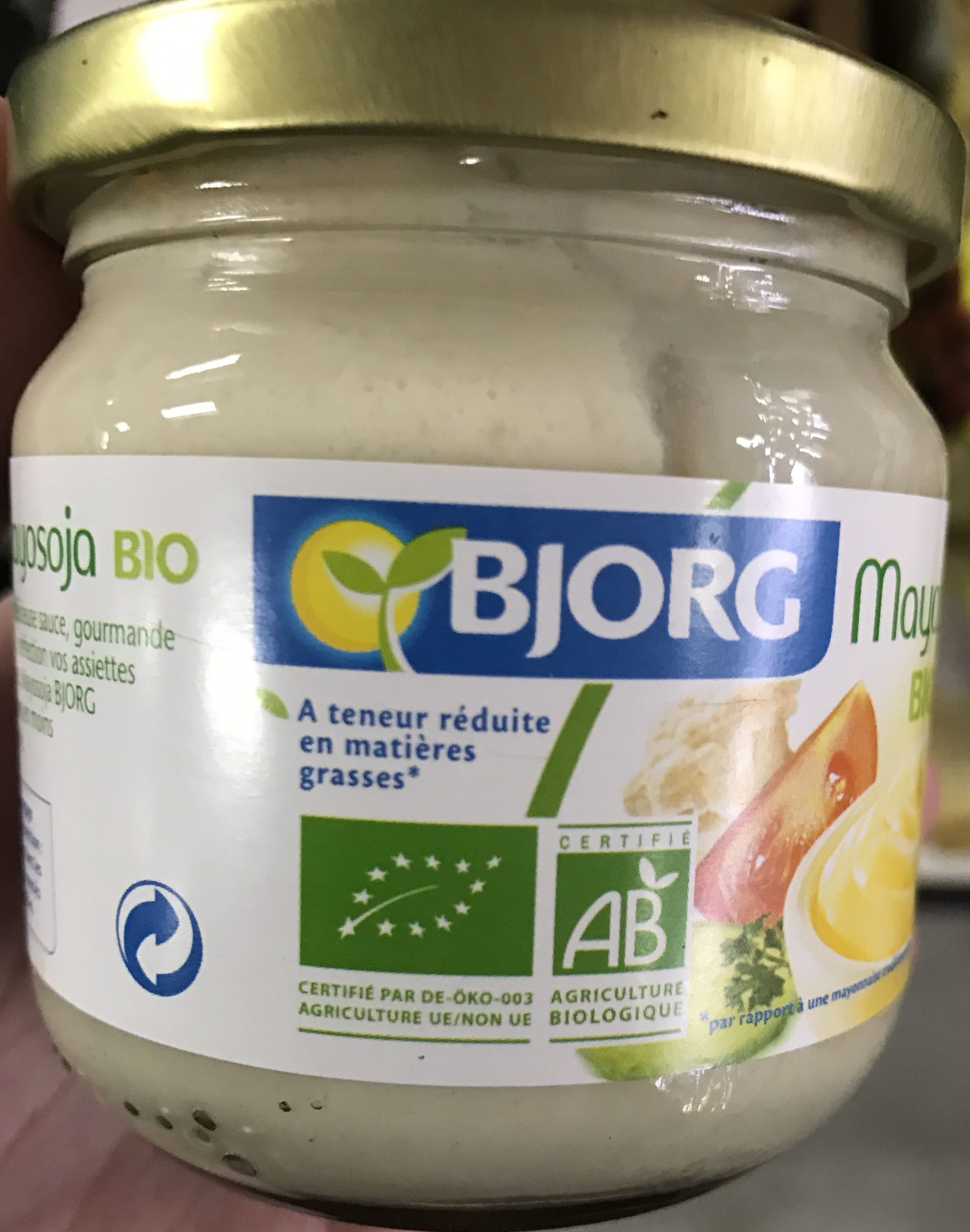 bjorg Mayosoja packshot